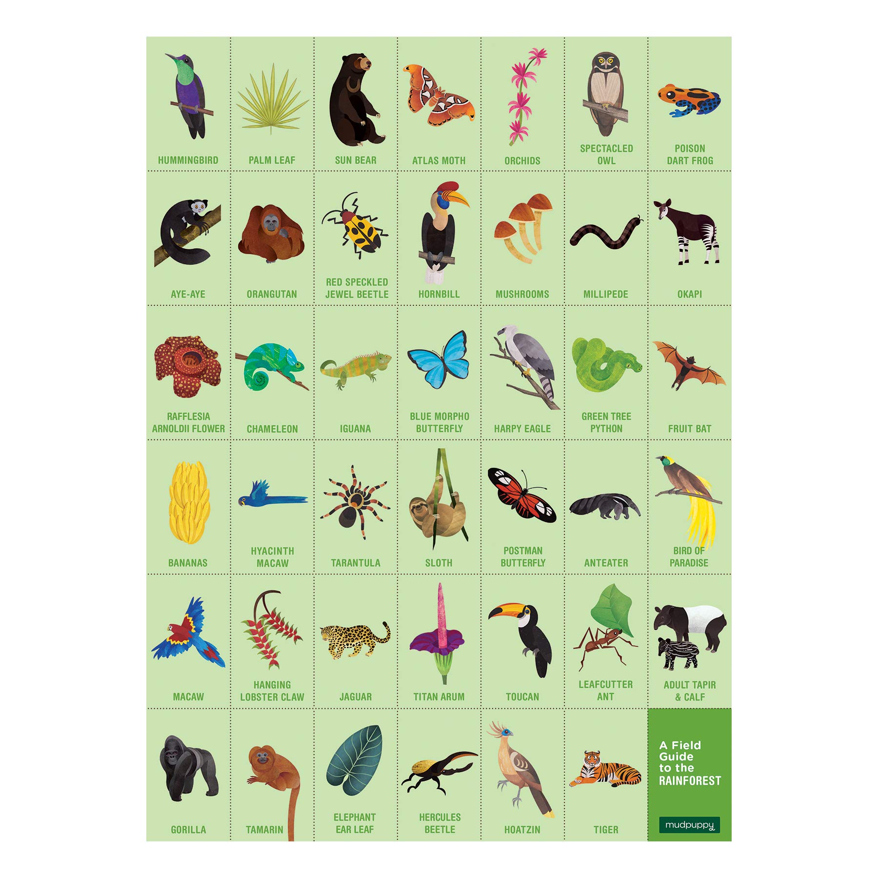 Mudpuppy Rainforest — 64 Piece Search & Find Puzzle Jigsaw Puzzle Featuring Diverse and Exotic Rainforest Animals and Over 40 Hidden Images to Find for Ages 4+ - Image 6