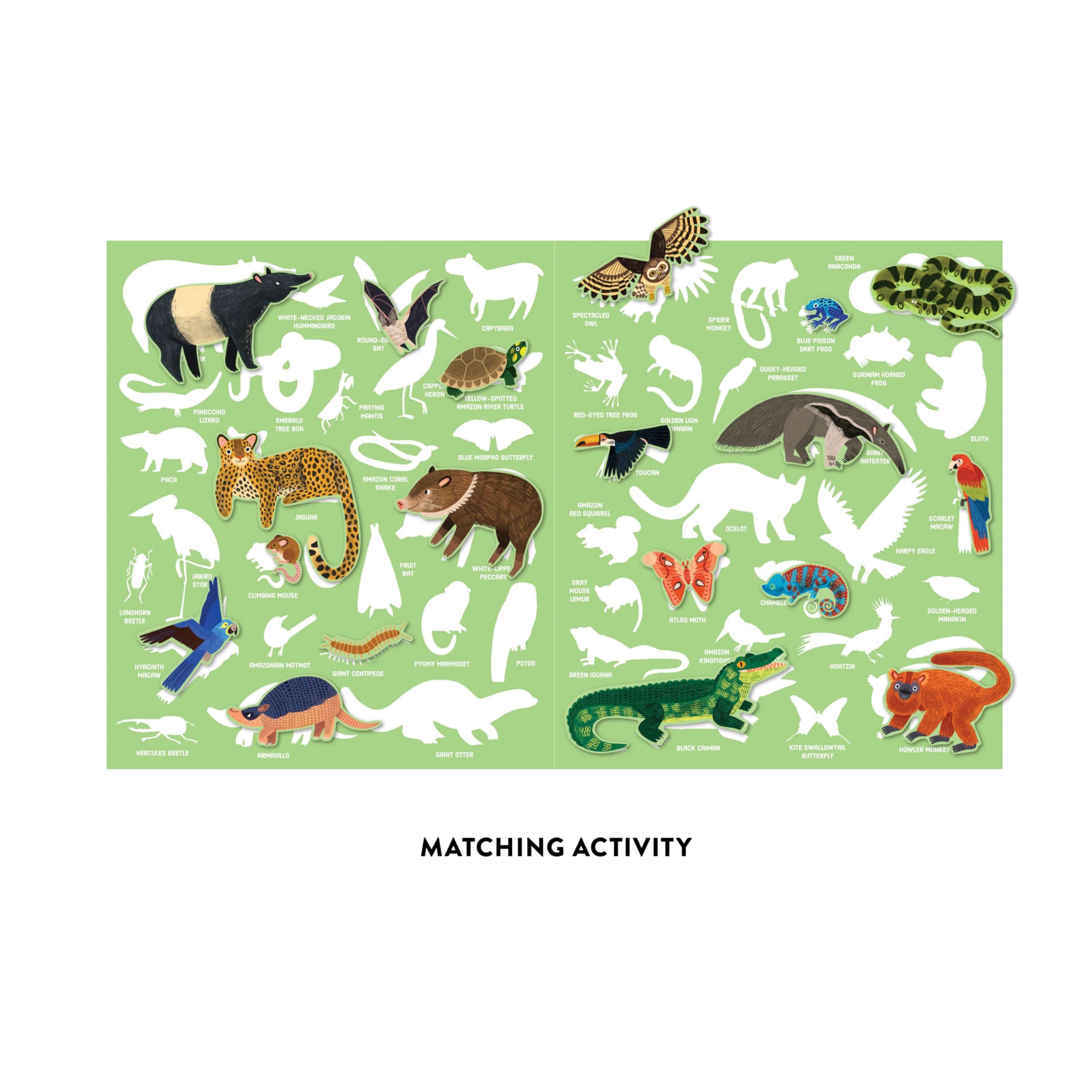 Mudpuppy Rainforest- Sticker Play Reusable Activity Kit Featuring Fun Illustrations of Rainforest Animals for Children Ages 3 and Up - Image 9