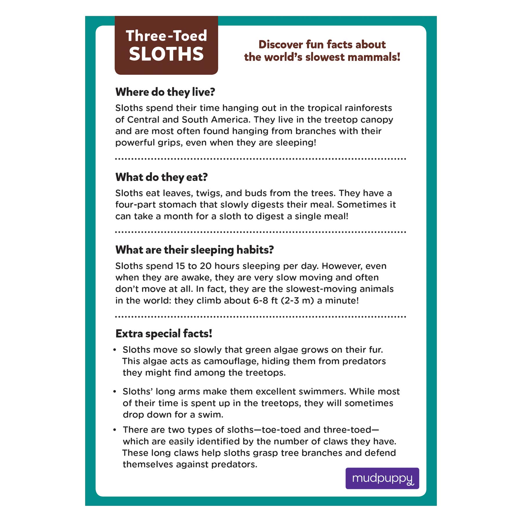 Mudpuppy Three-Toed Sloth Mini Puzzle, 48 Pieces, 8” x 5.75” – Perfect Family Puzzle for Ages 4+ – Jigsaw Puzzle Featuring a Colorful Illustration of a Sloth, Informational Insert Included - Image 3